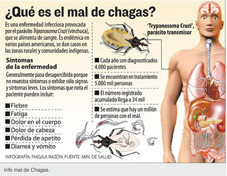 Chagas Spanish Graphic